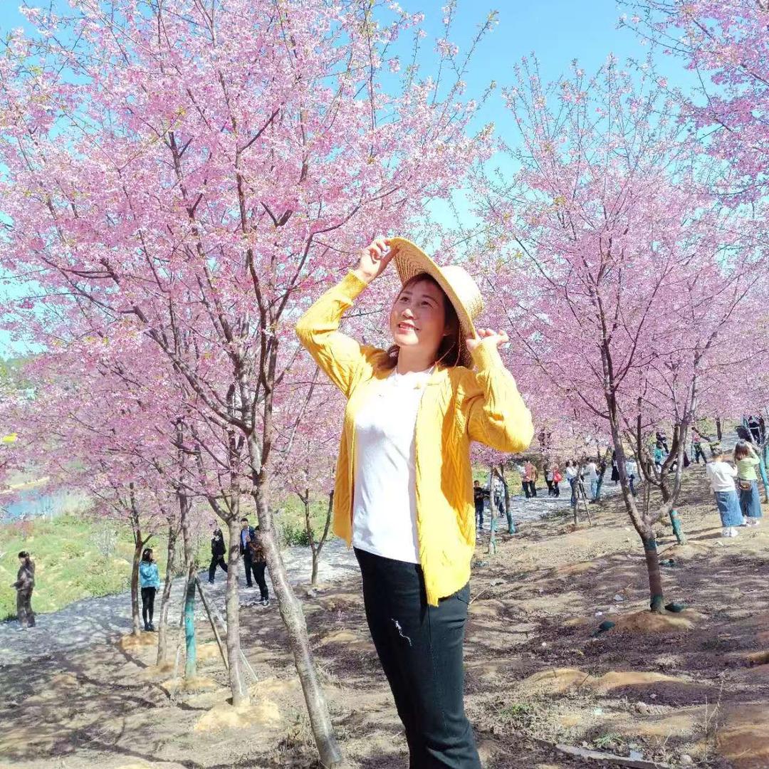 幸福一家人可流动酒席