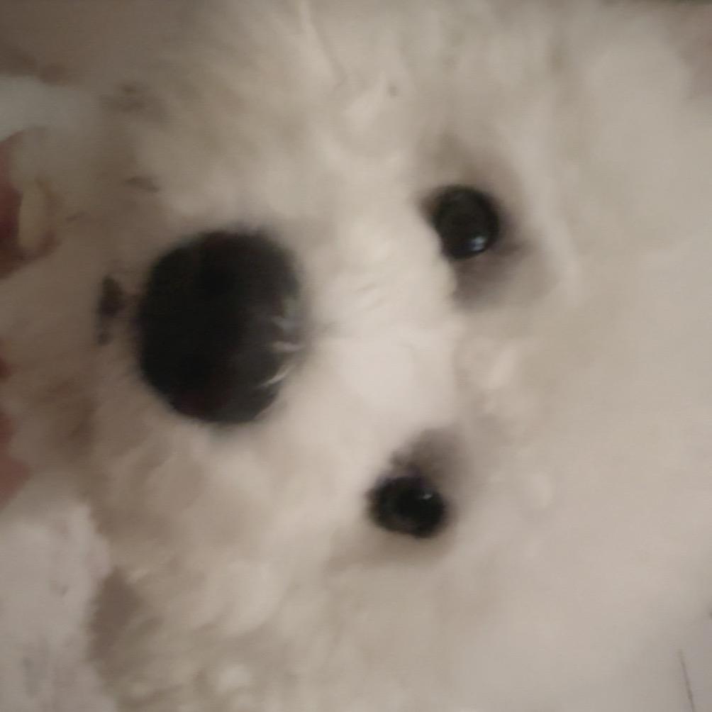 咕噜咕噜咕噜咕噜