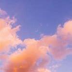 招主播（海外版）