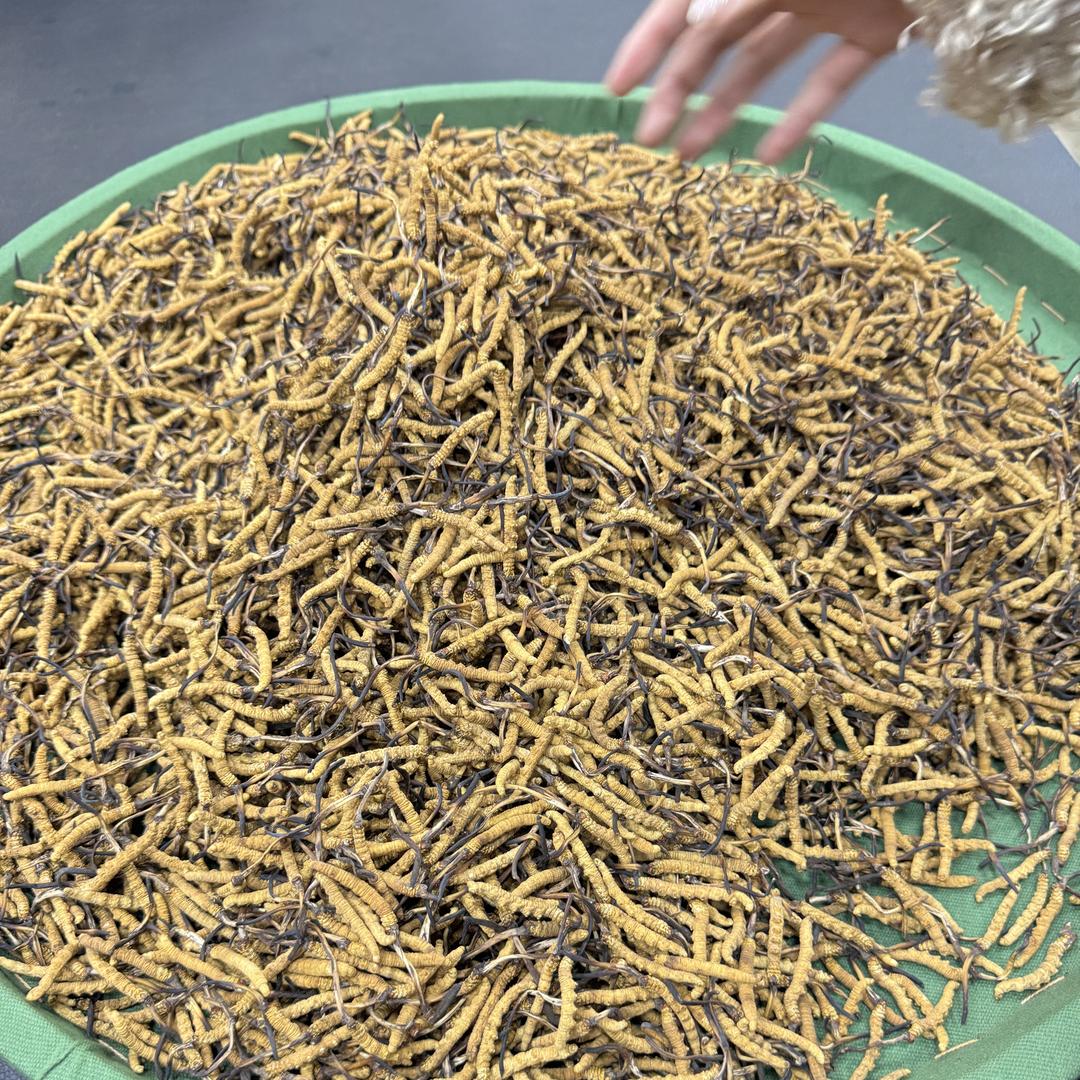 元族薛隆阁滋补营养专卖店