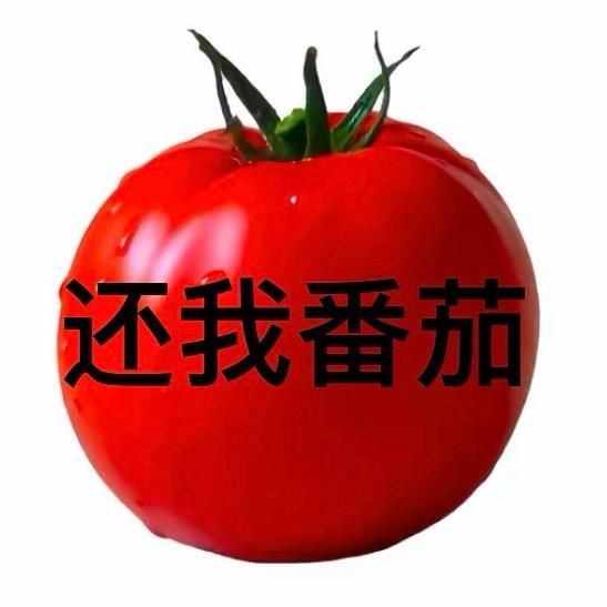 哪个出生把我的番茄偷了