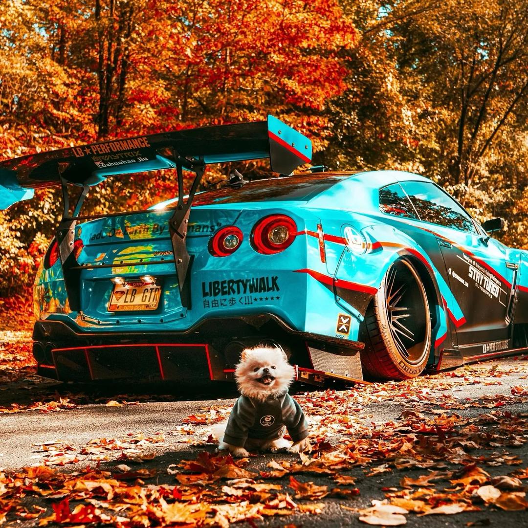 💤
