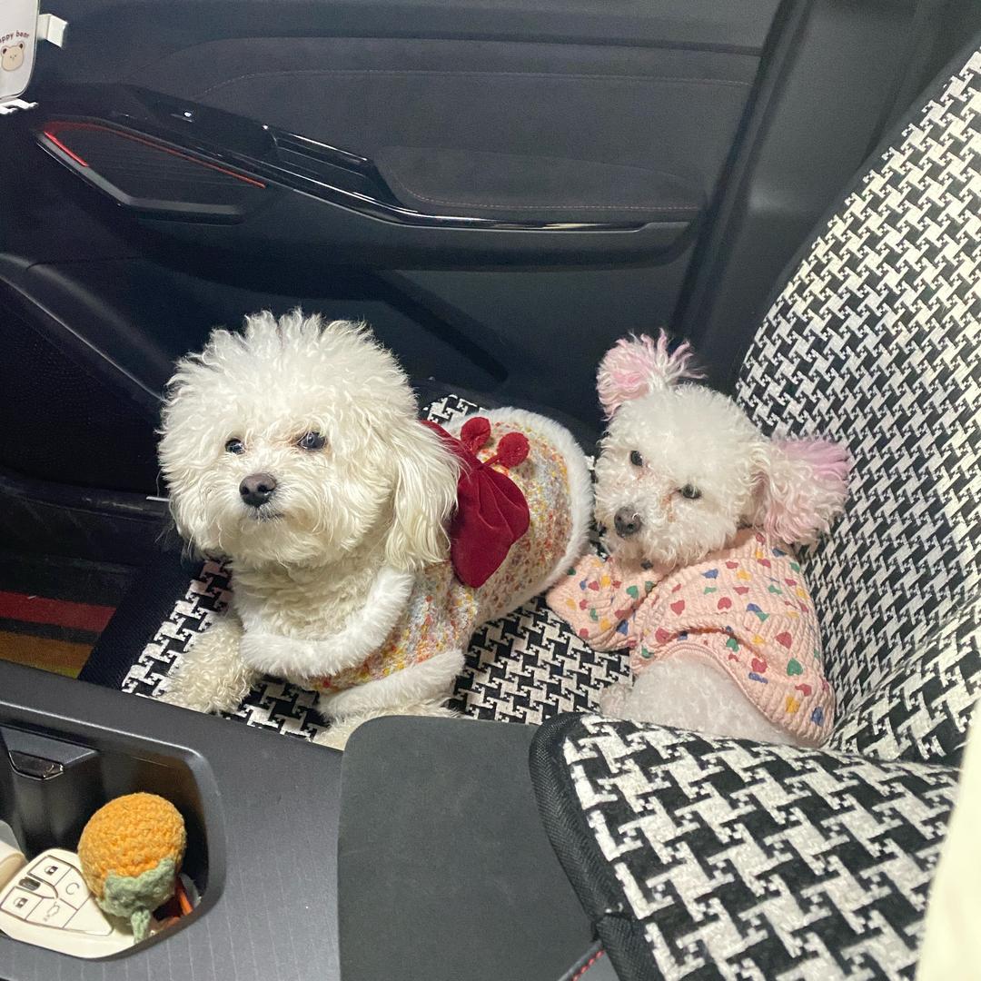 大瑞瑞的专属记录📝