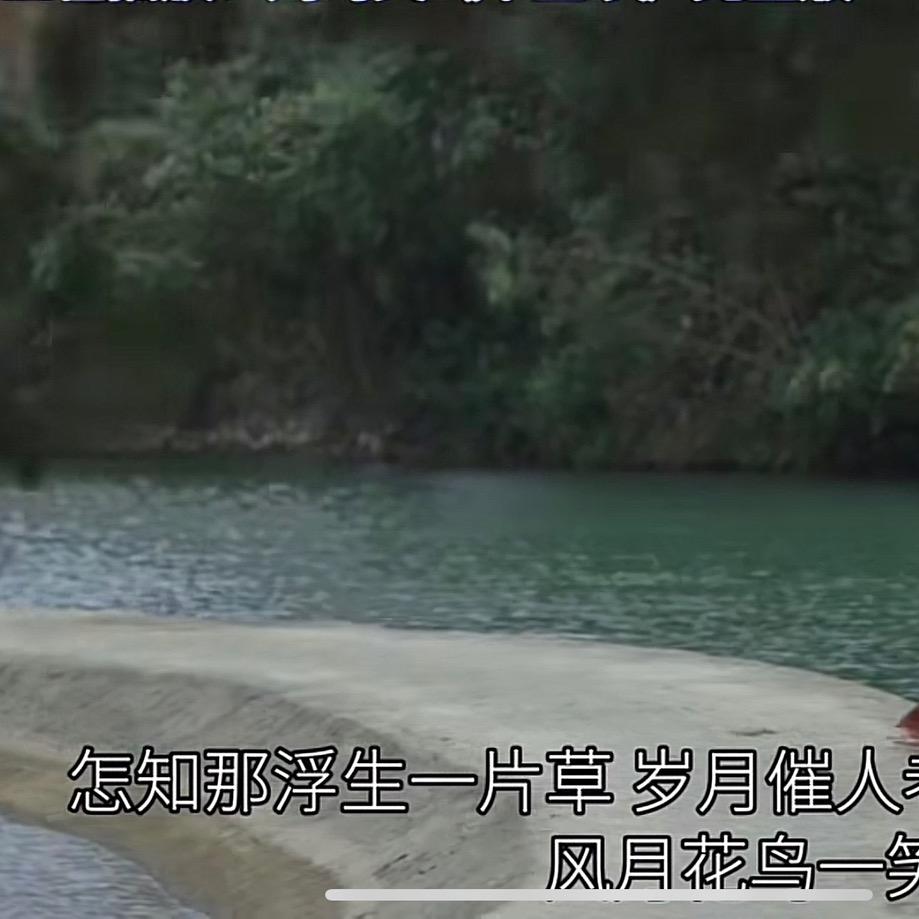 好运降林！
