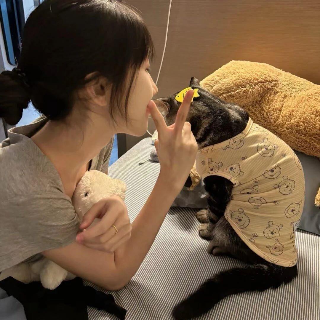 忧郁肥猫