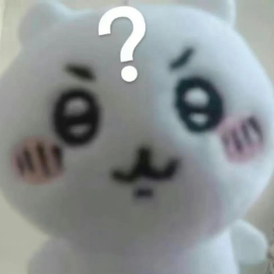安知鱼