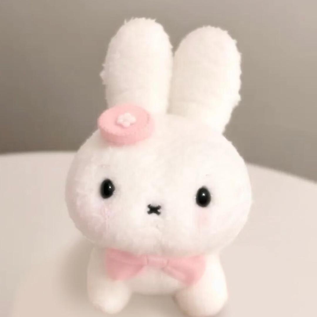 皮蛋瘦肉粥不要皮蛋