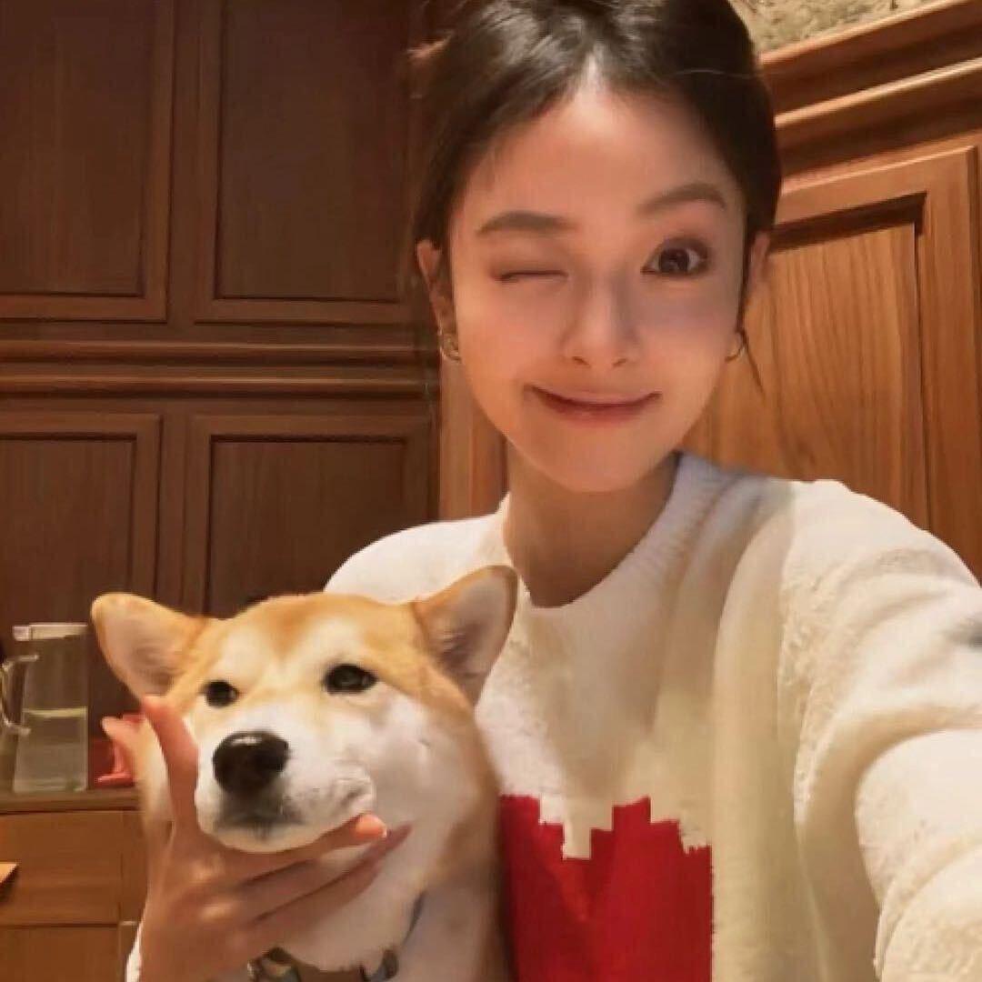 懒猫猫 🐾
