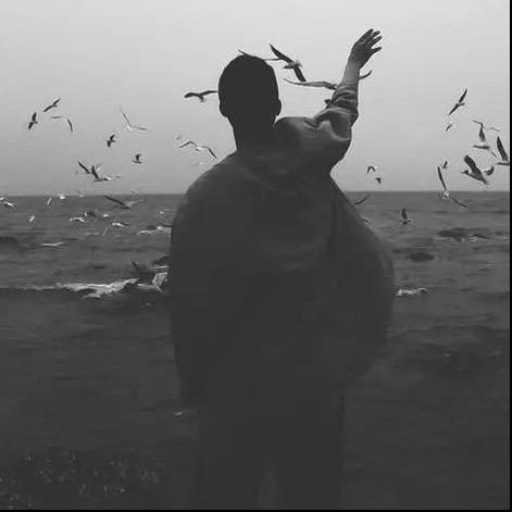 奋斗吧年轻人✊