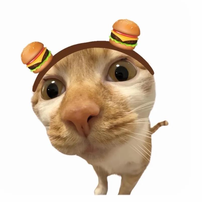 阳光灿烂 -