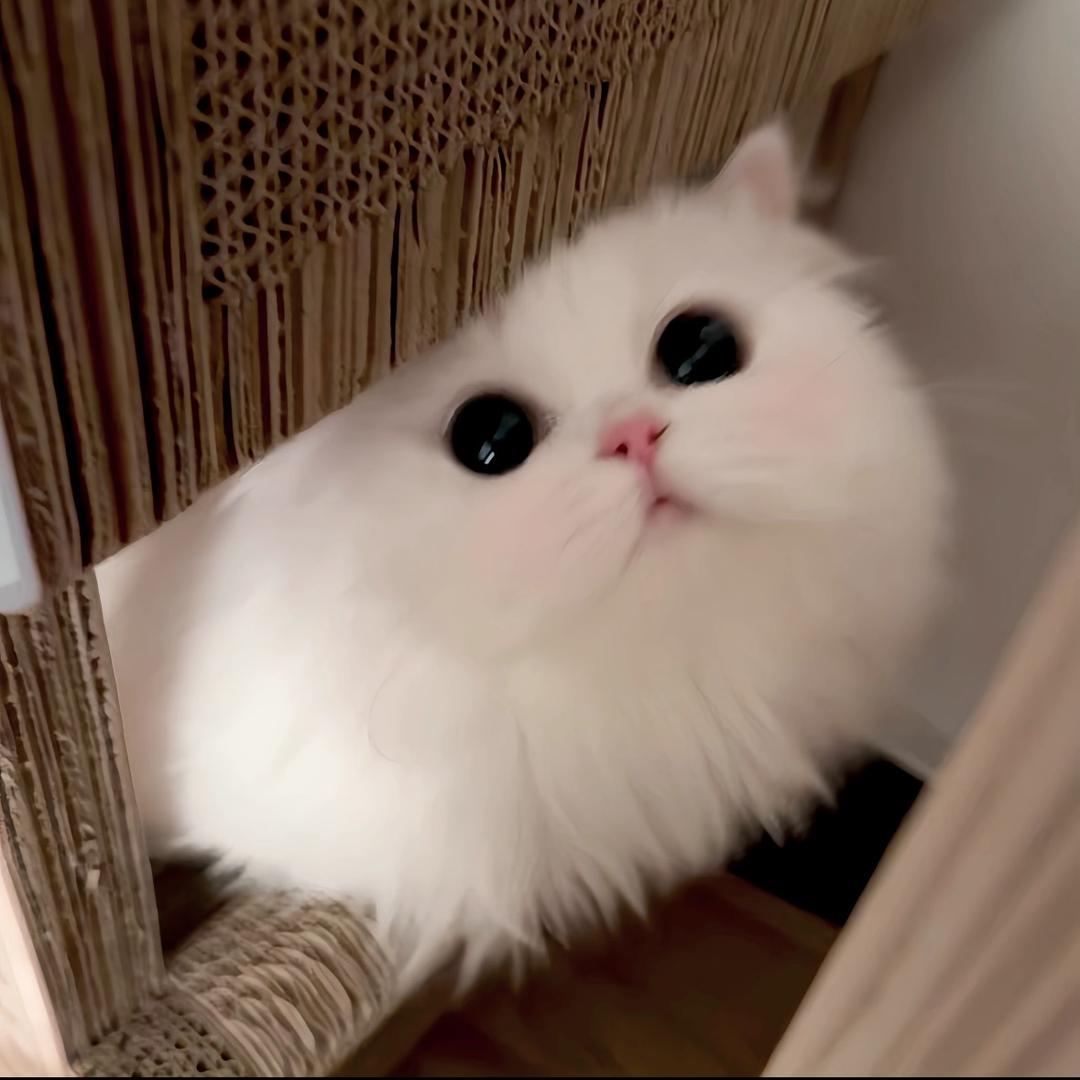 不嘻嘻