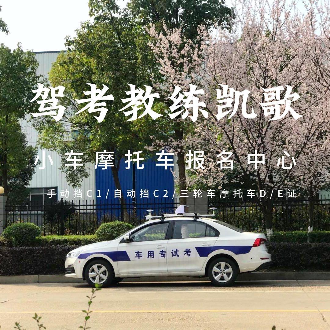 驾考教练凯歌