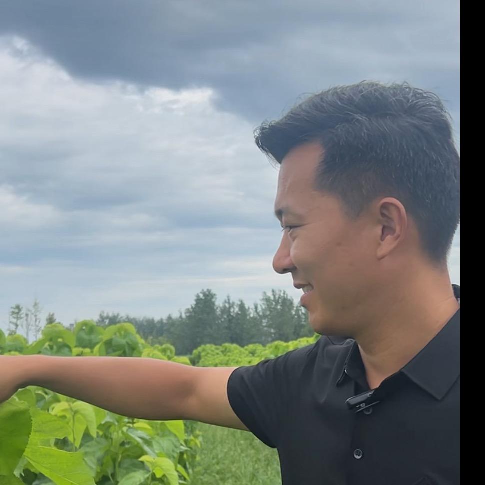 范诗蔻王先生的日常