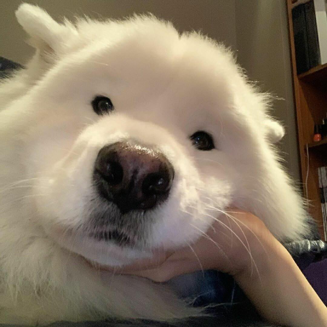 XXXS