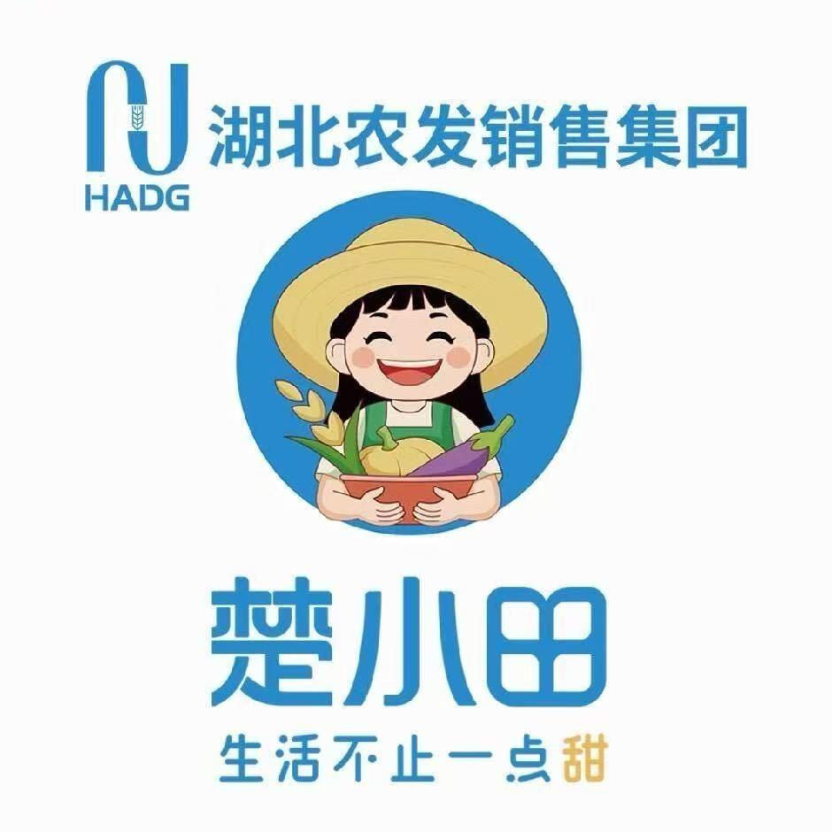 楚小田社区团购店