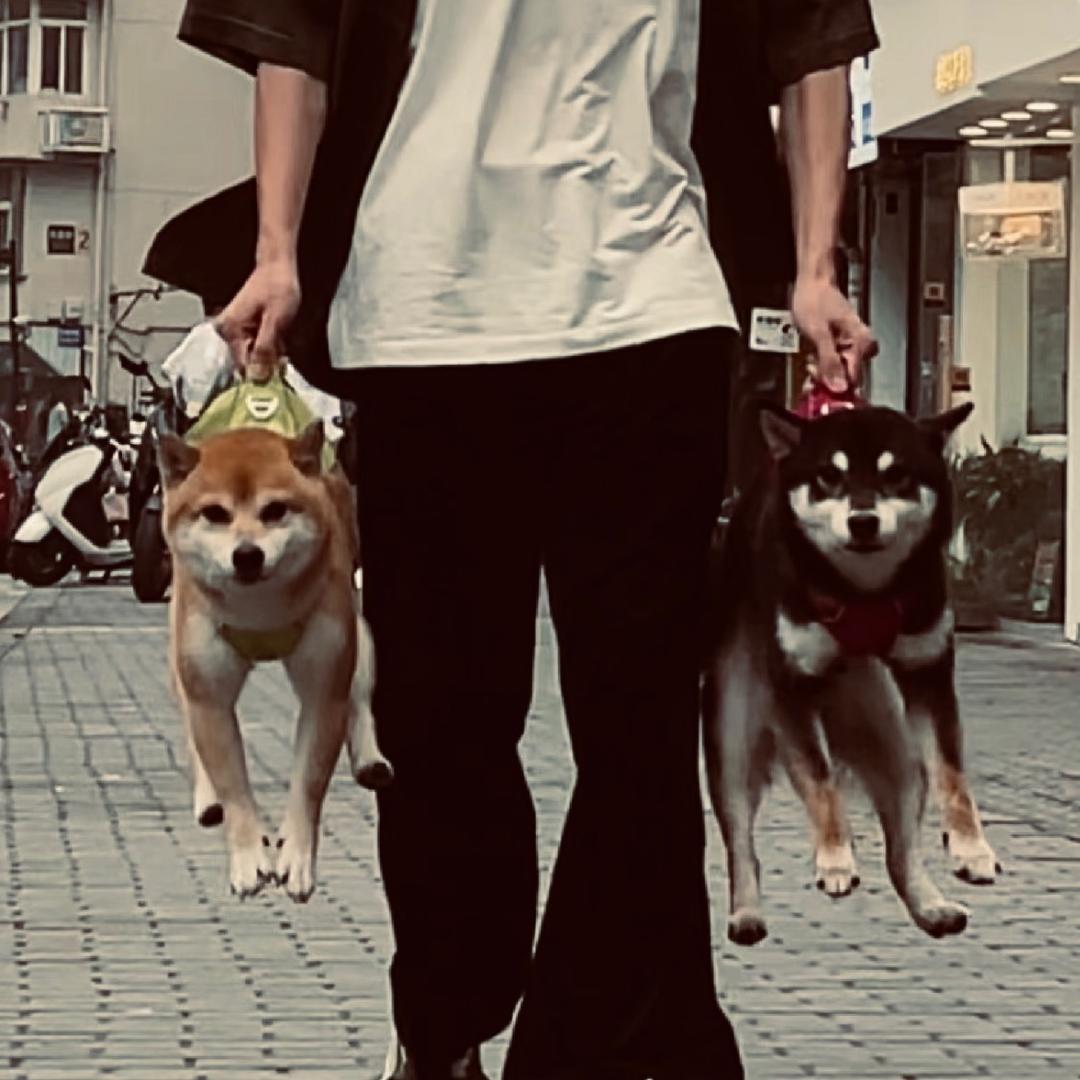 瑆瑆