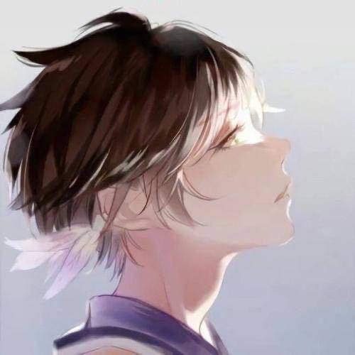DNF茶白