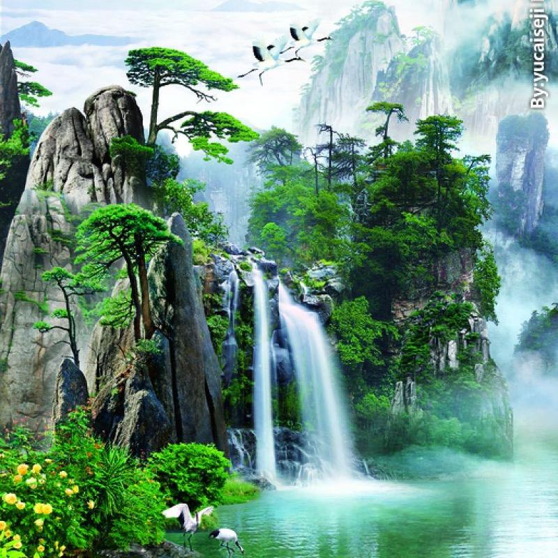 心想事成晨笑朔