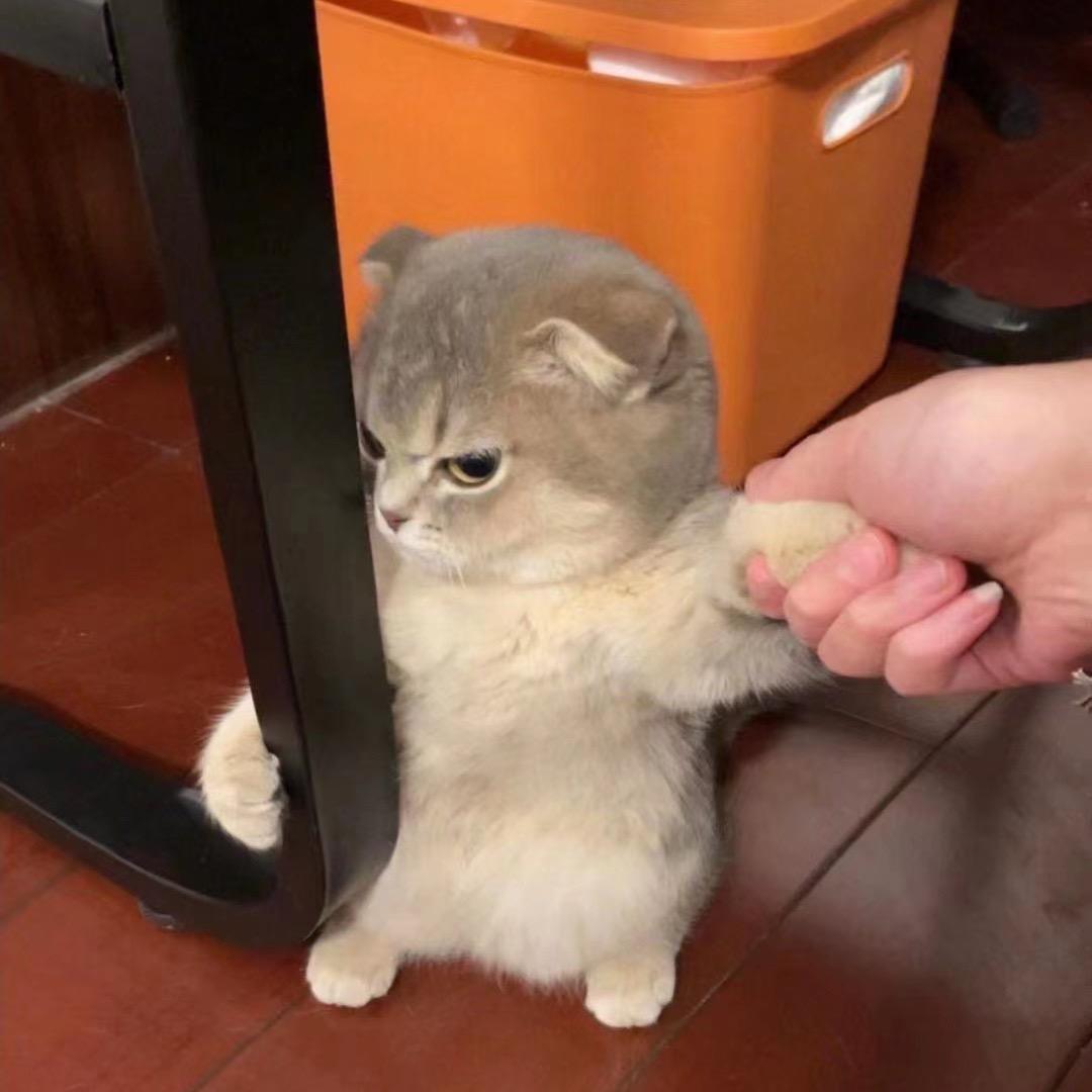 攨