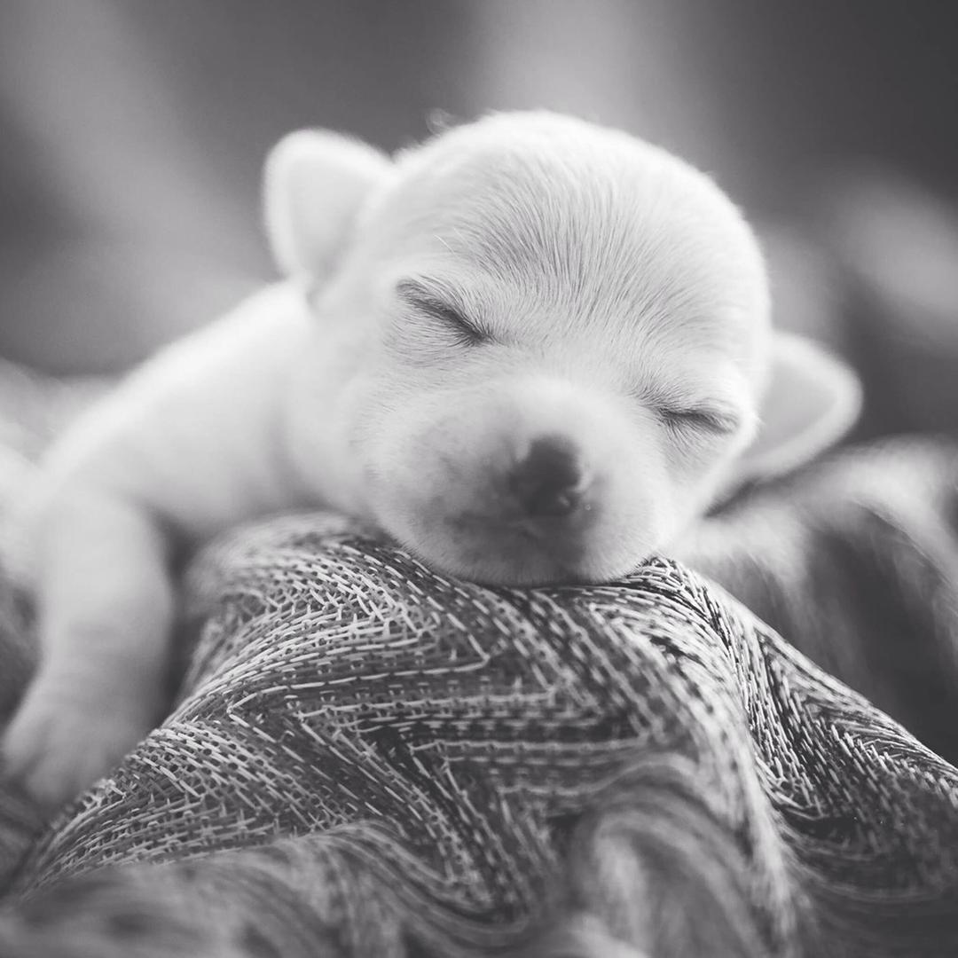 脱了壳的蜗牛🐌