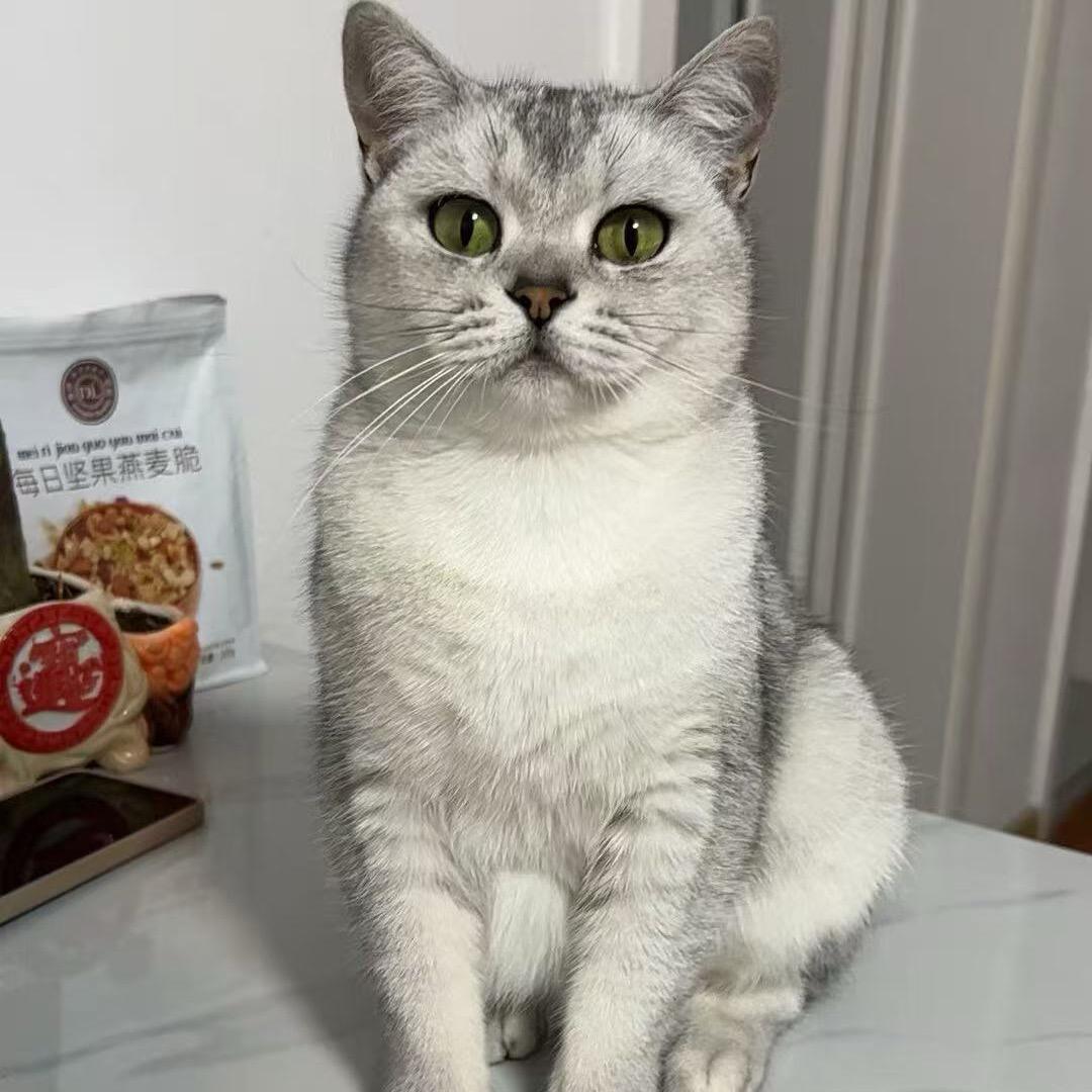 ᥫᩣ໌້L໊有丶小任性