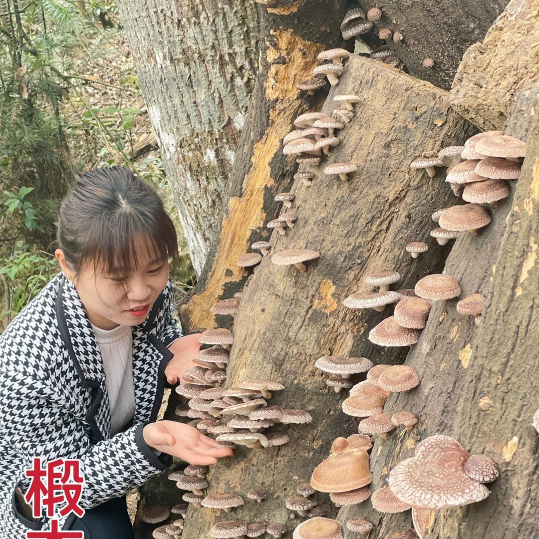 小丽土特产