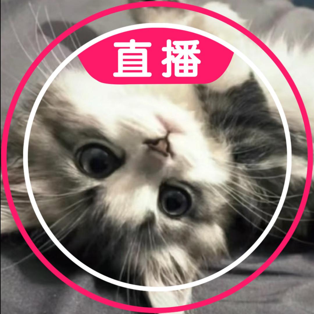 从我初恋那天起