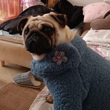 ꧁痘痘吃了痘痘长痘痘它抓痘痘꧂