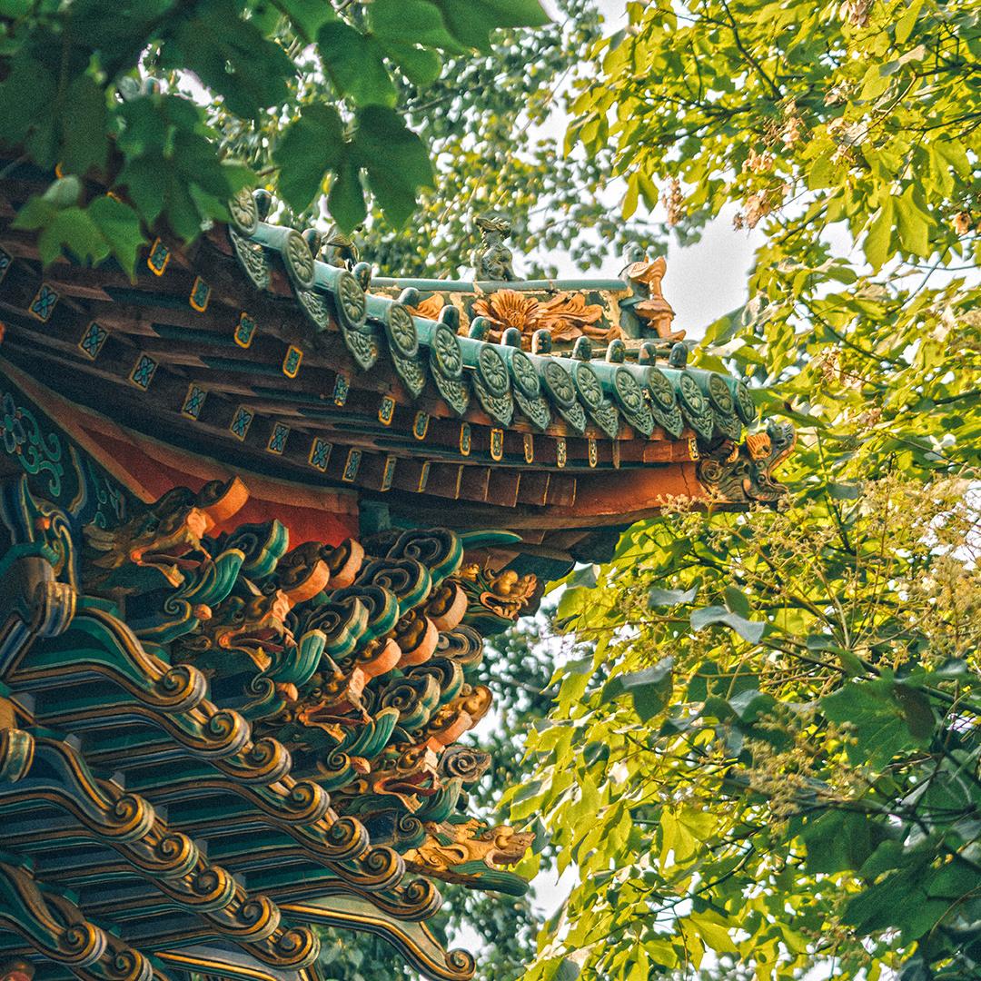 道意文化