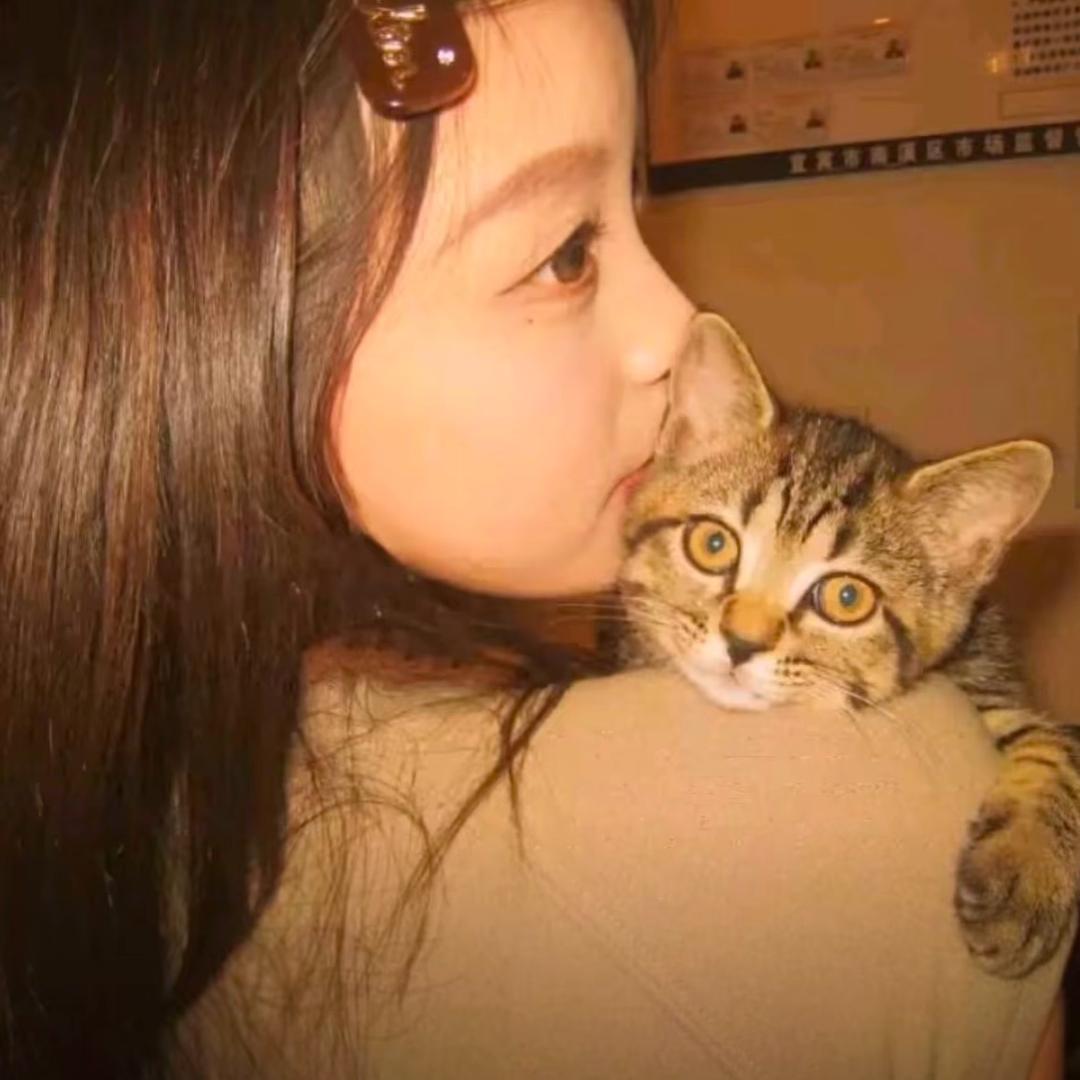 屎到临头还想搅便