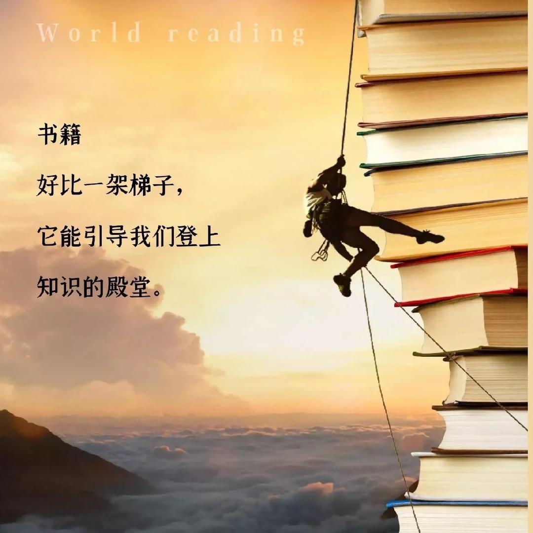 老张的书圈