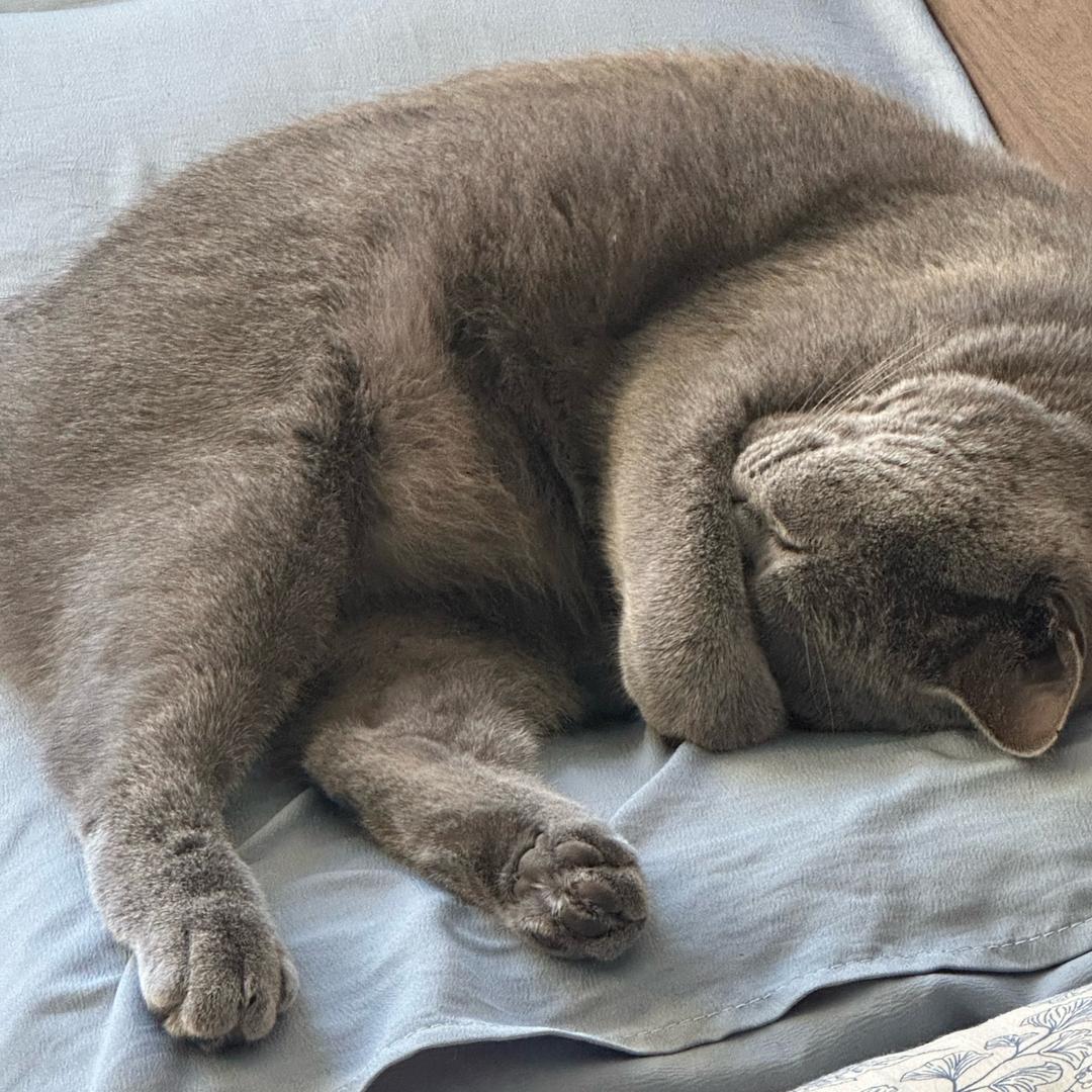 97