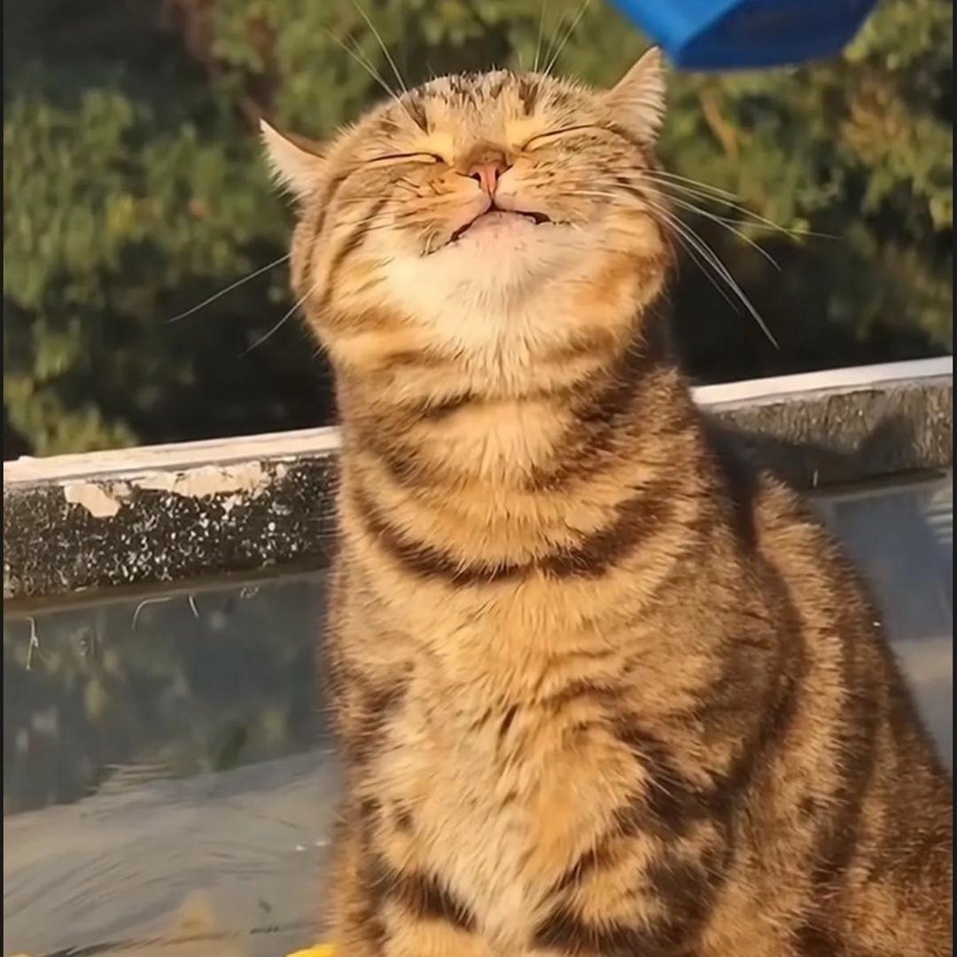 迭代de夕