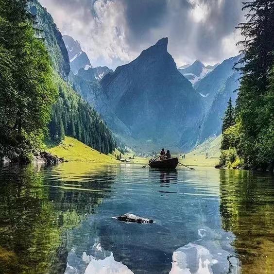 山里红红叶盆景