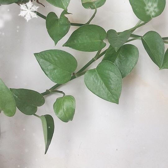 群欣欣