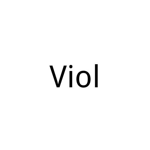 Violshop饰品