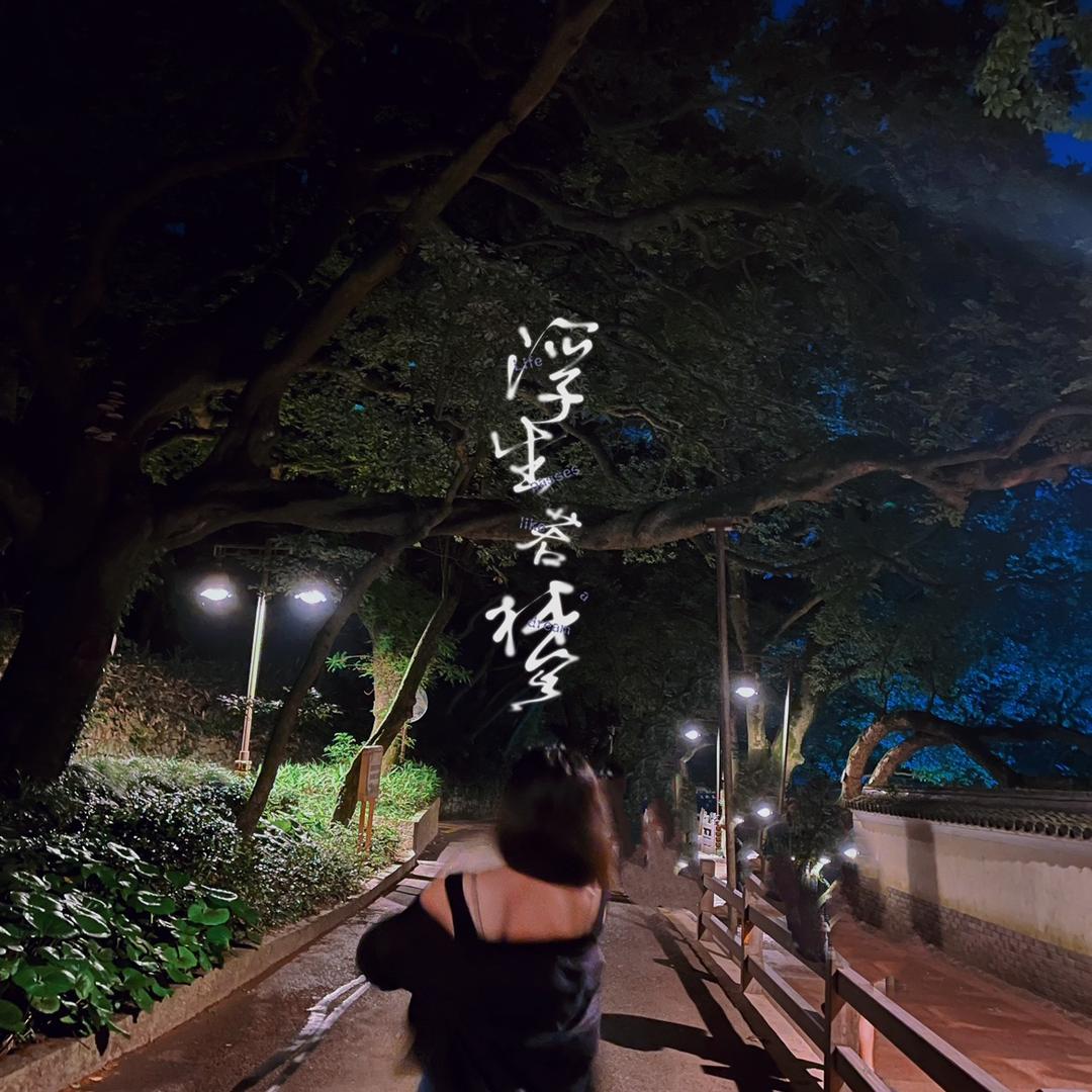 今天还是想暴富