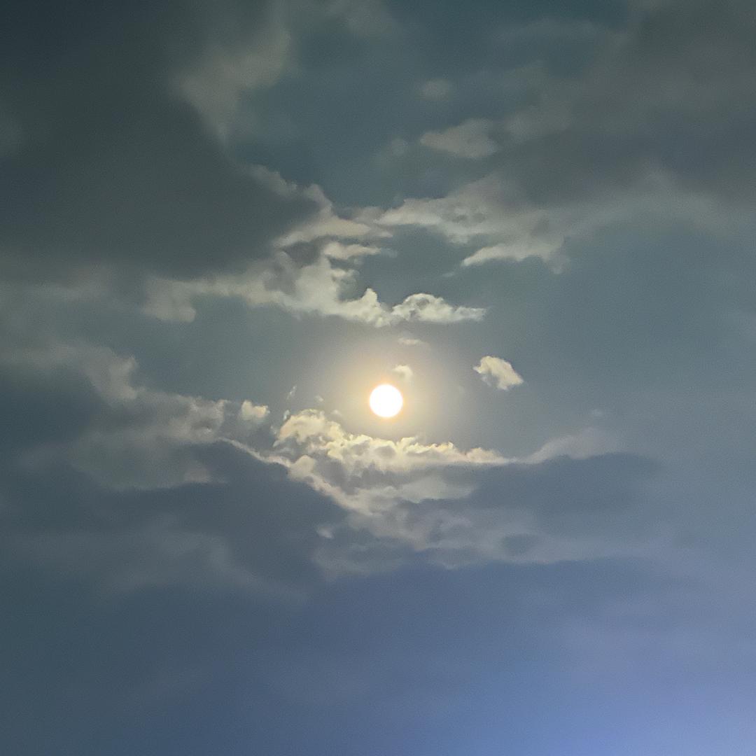 。？。。