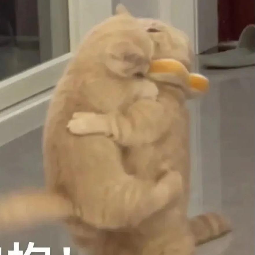 哈喽哈哈