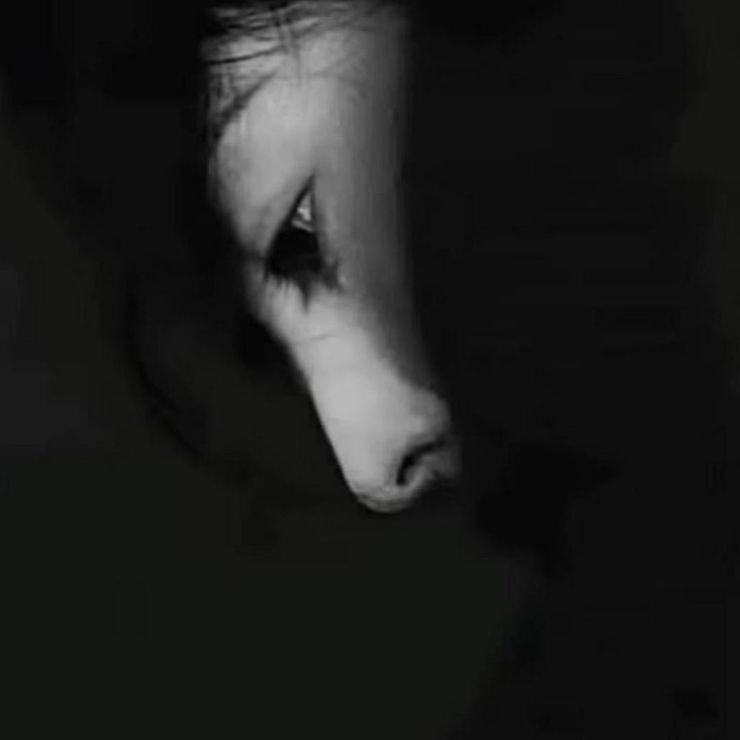 田依璠