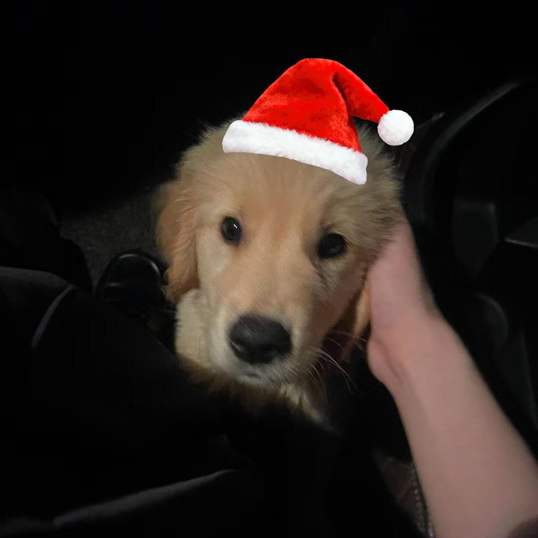 长腿老太（早睡早起版）