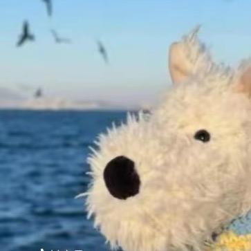 魏小哥的减肥日记