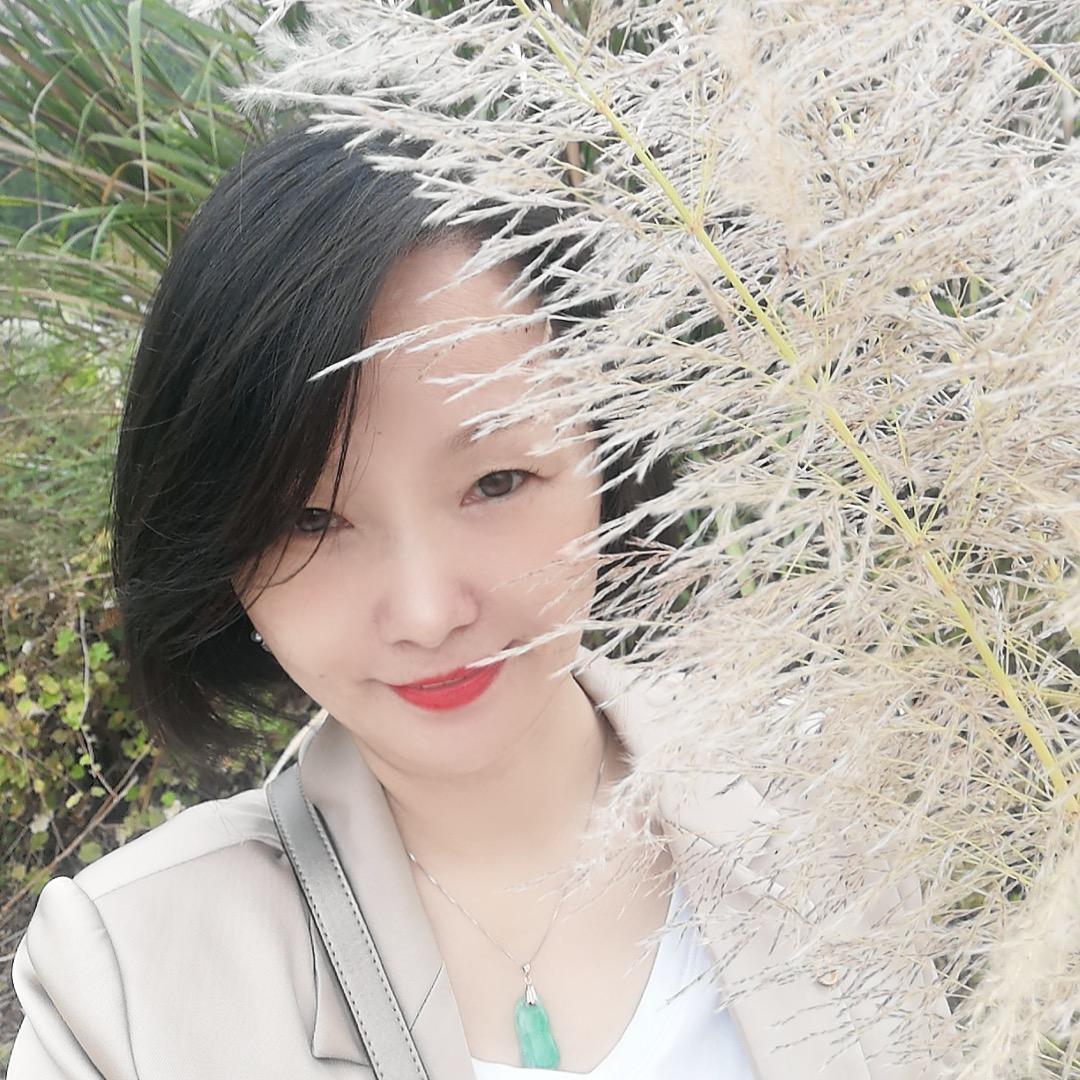 优雅的木笔