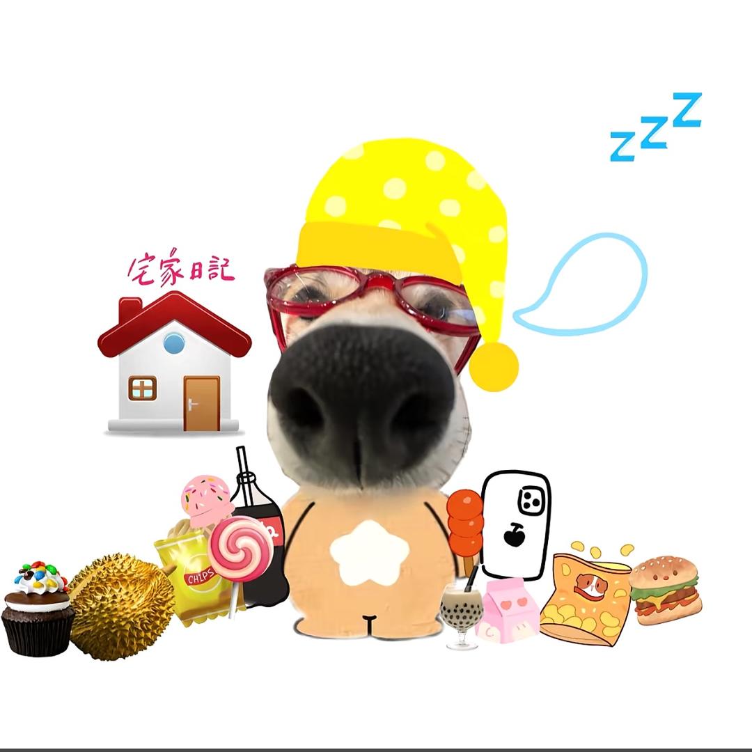 莎莎