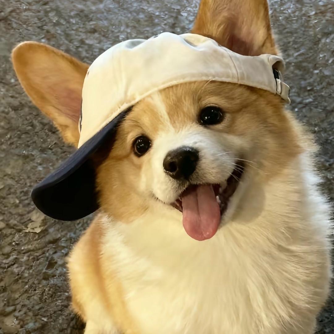 方勇