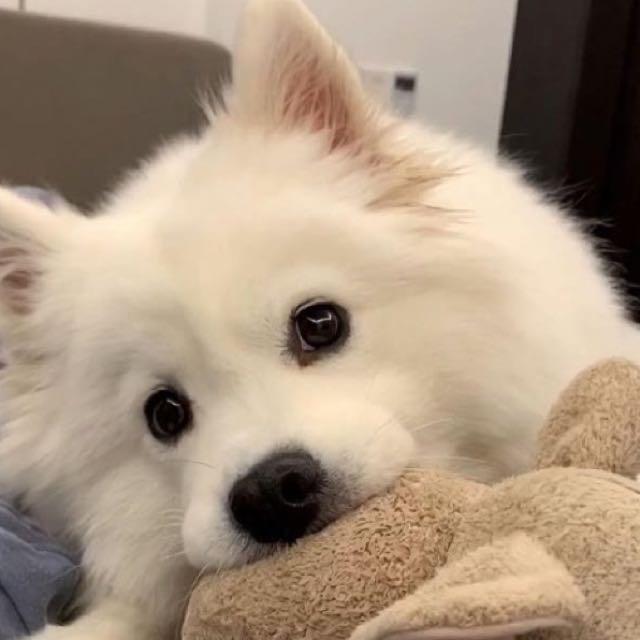借晚风叙旧啊