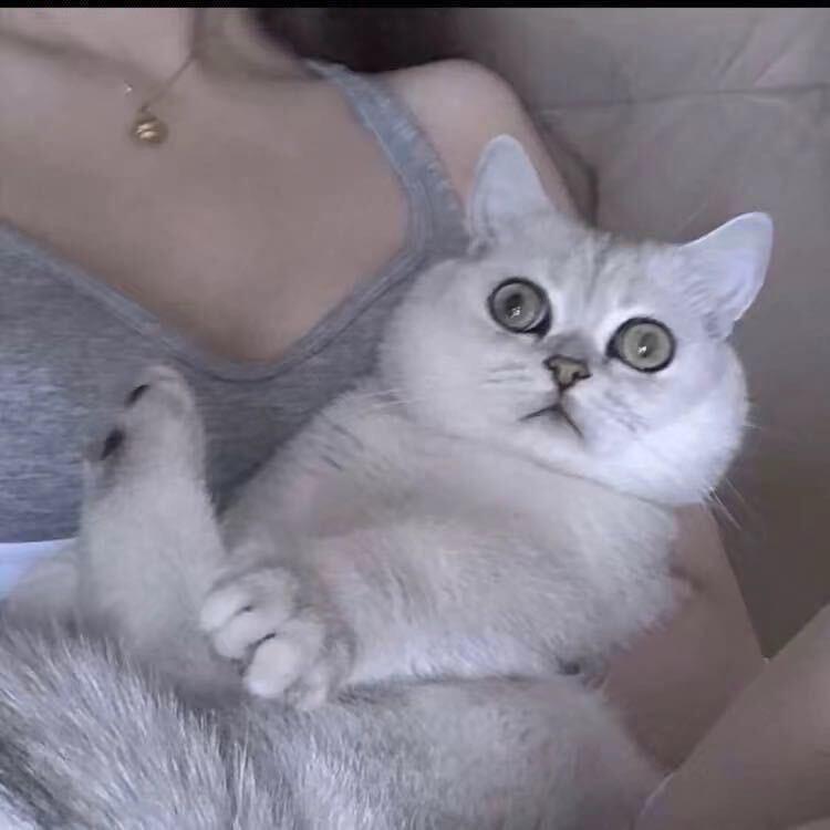 小黄～