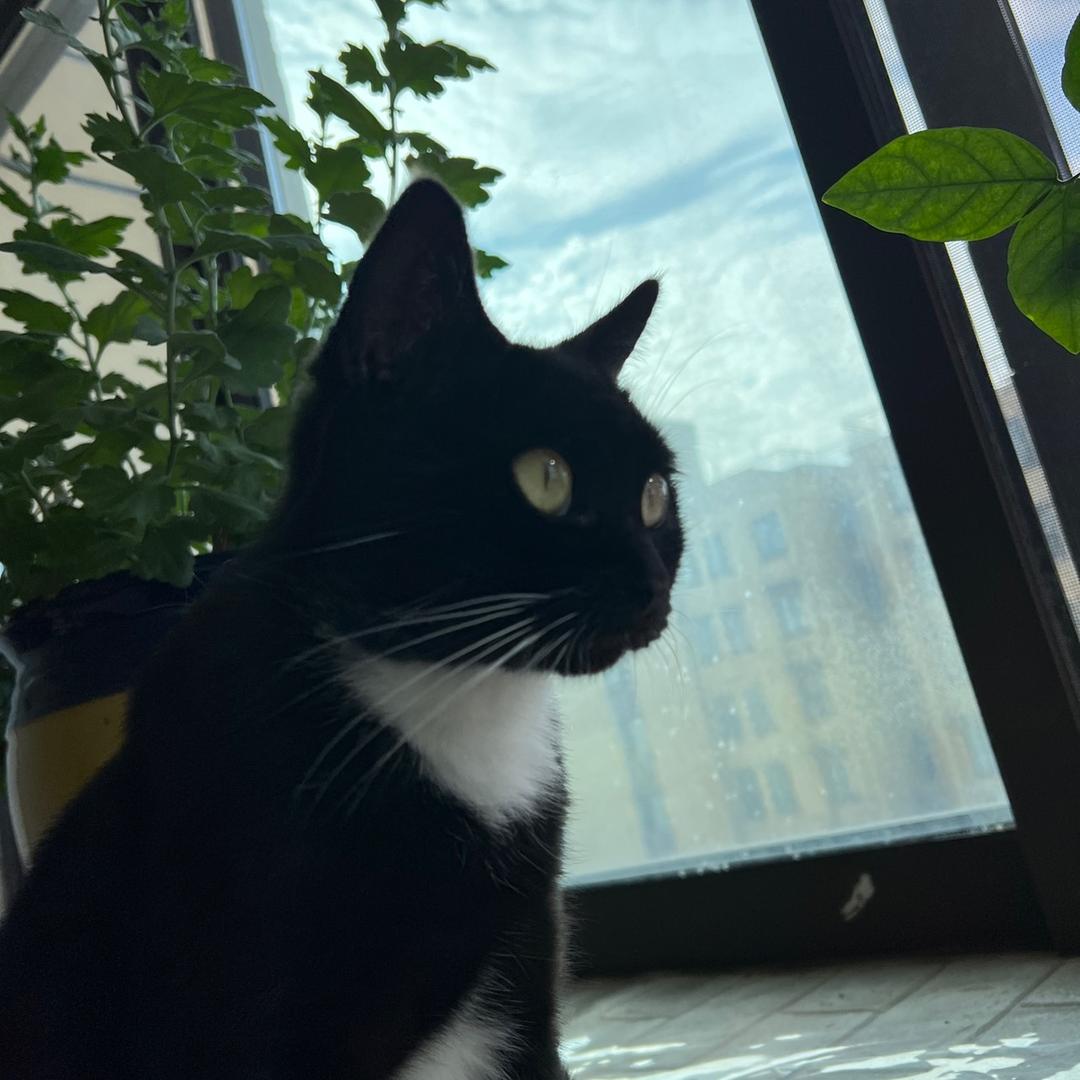 安徽合创赵主任招工