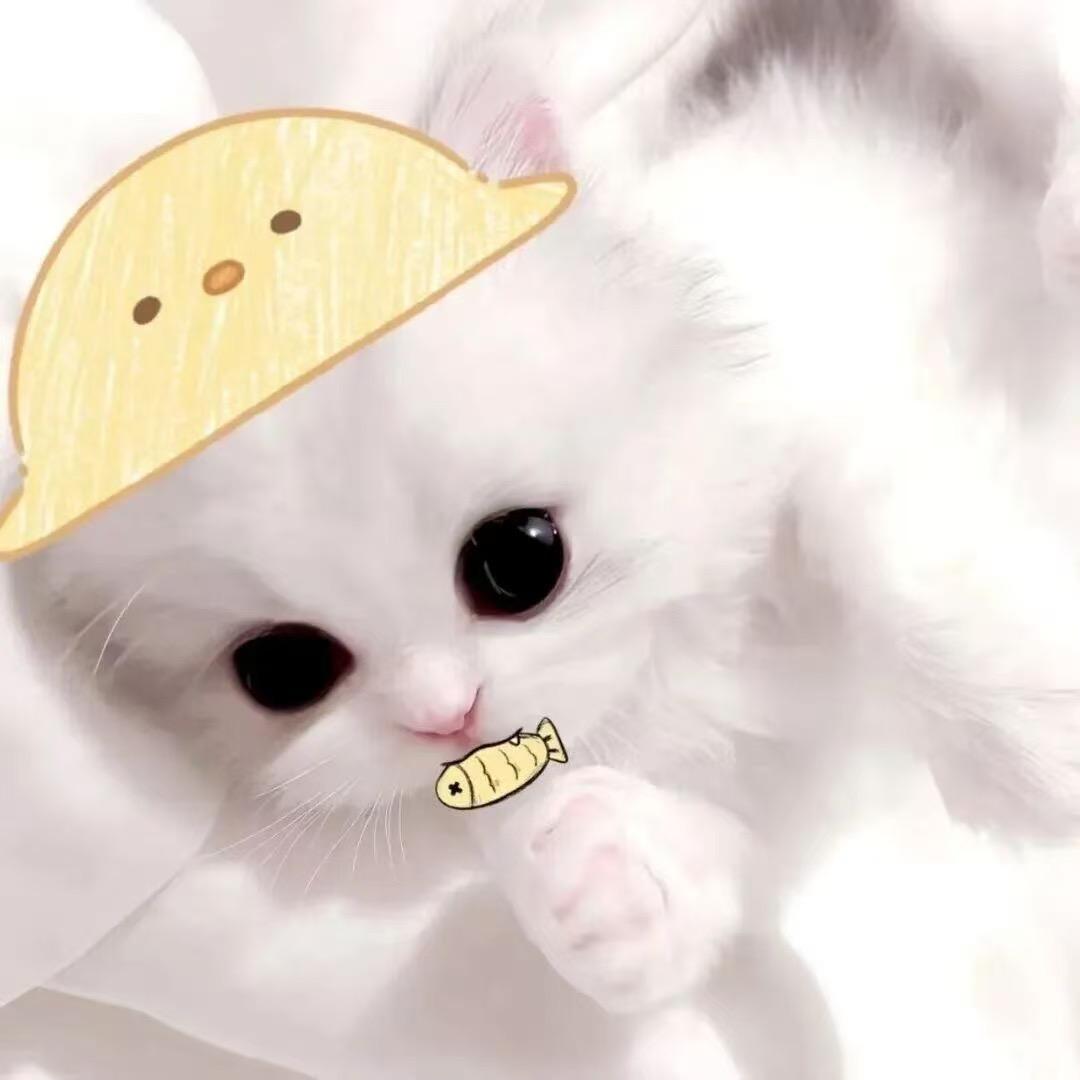 东东.