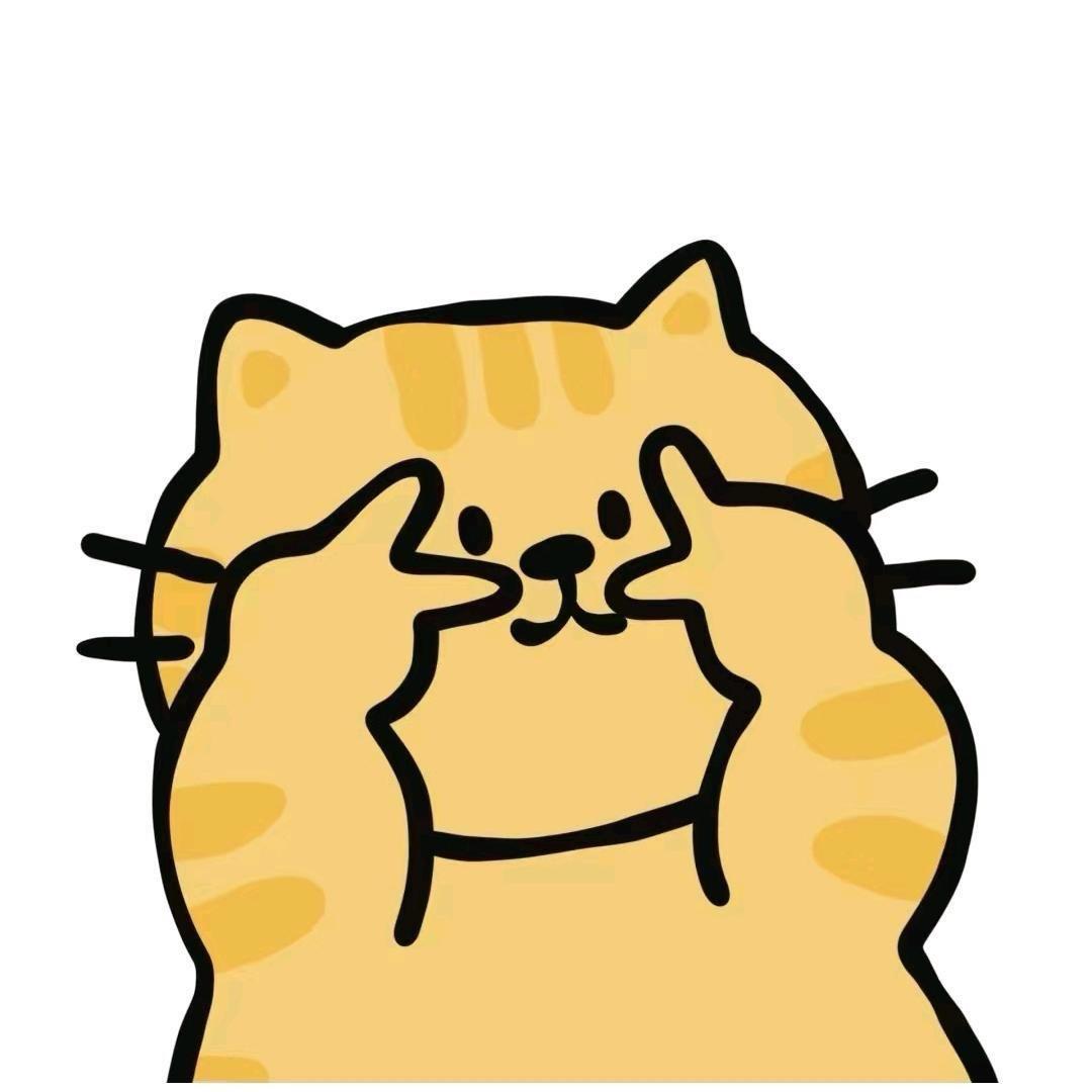 开飞机的Yy.